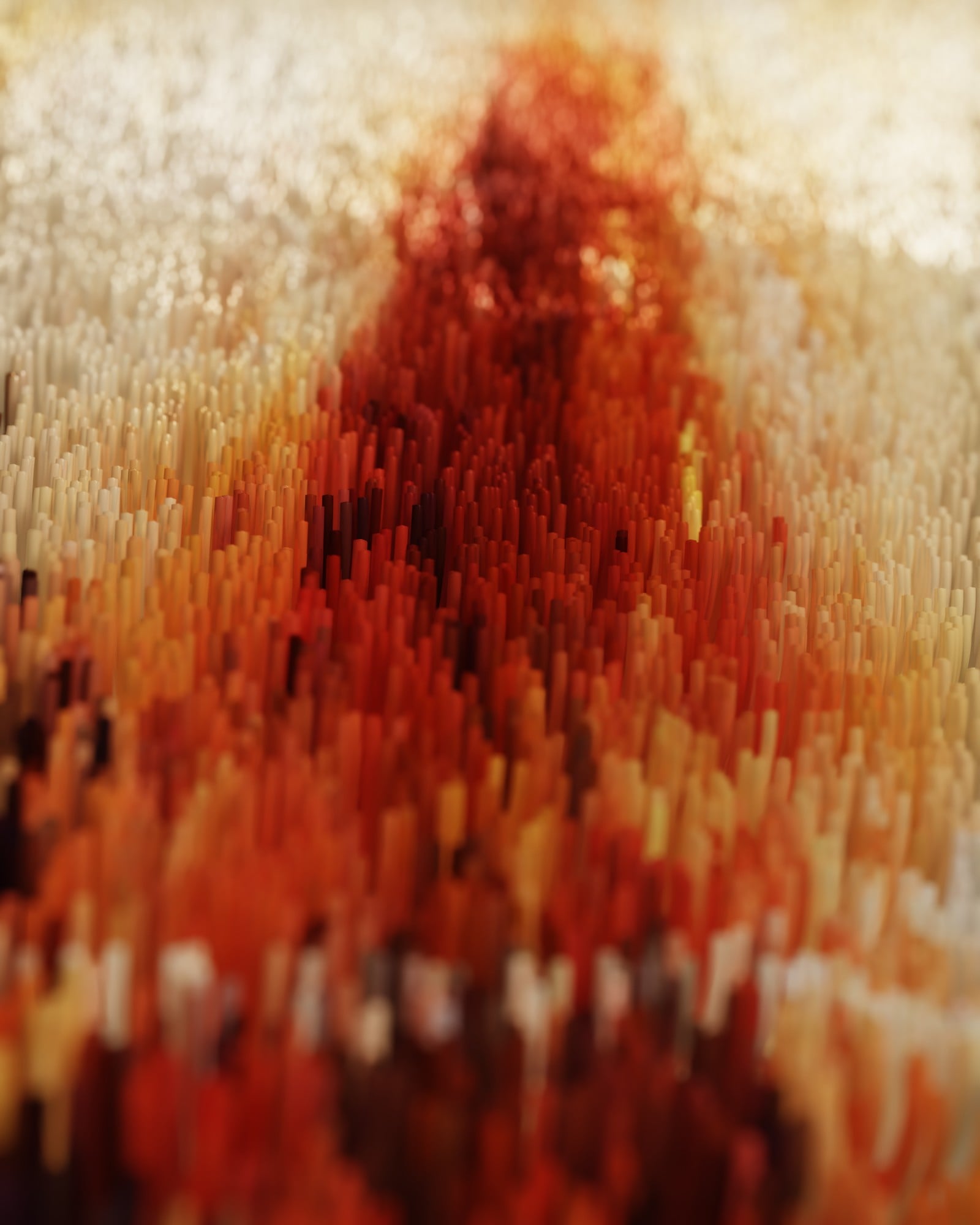 The dawn of the winds — Arnaud Quercy