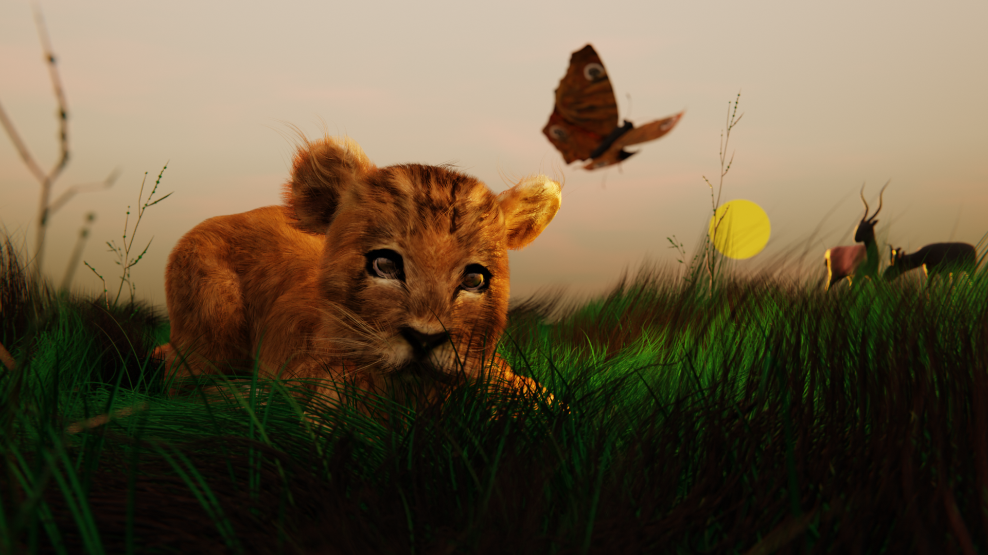 Animaux de la Savanne — Arnaud Quercy