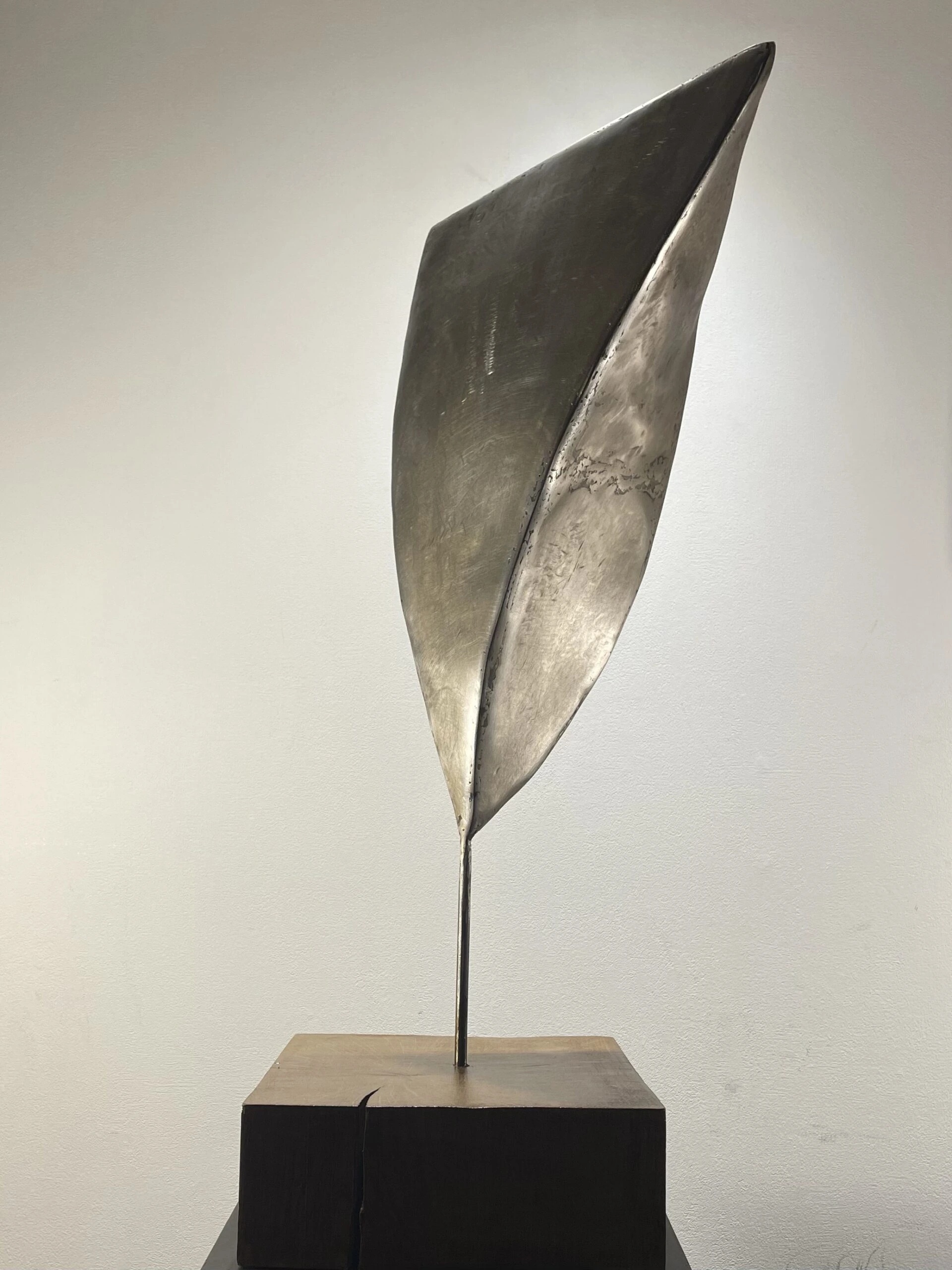 MURMURATION — Arnaud Quercy